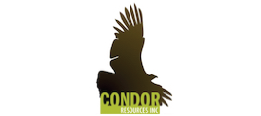 Condor Resources